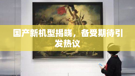 国产新机型揭晓，备受期待引发热议