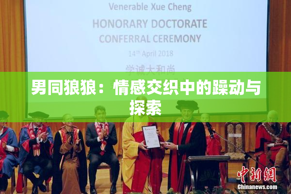 男同狼狼：情感交织中的躁动与探索