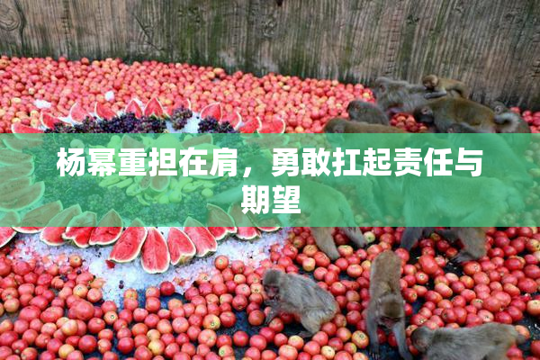 杨幂重担在肩，勇敢扛起责任与期望