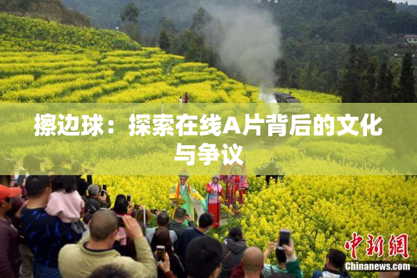 擦边球：探索在线A片背后的文化与争议