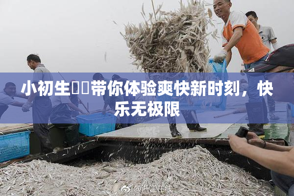 小初生❌‌带你体验爽快新时刻，快乐无极限