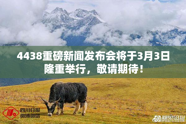 4438重磅新闻发布会将于3月3日隆重举行，敬请期待！