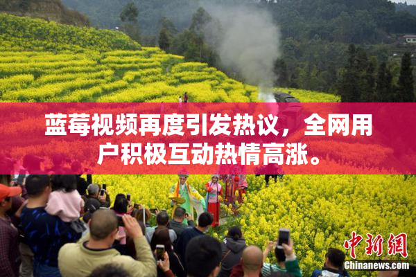 蓝莓视频再度引发热议，全网用户积极互动热情高涨。