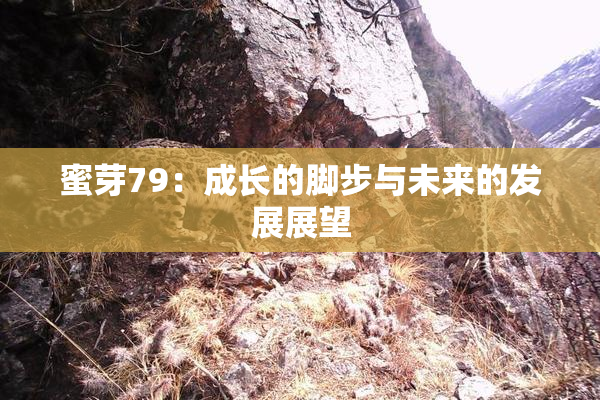 蜜芽79：成长的脚步与未来的发展展望