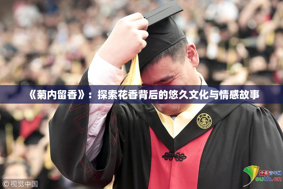 《菊内留香》：探索花香背后的悠久文化与情感故事