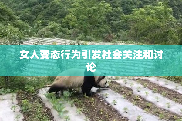 女人变态行为引发社会关注和讨论
