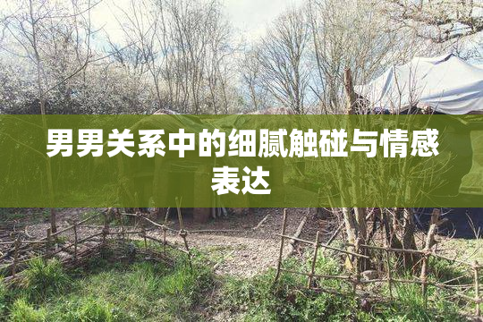 男男关系中的细腻触碰与情感表达