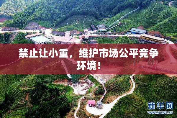 禁止让小重，维护市场公平竞争环境！