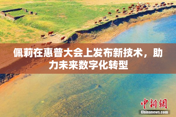 佩莉在惠普大会上发布新技术，助力未来数字化转型