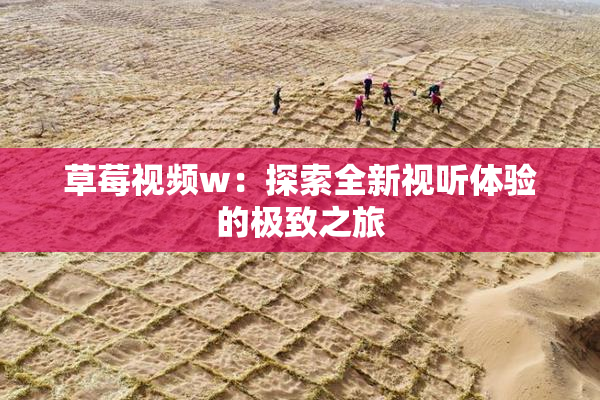 草莓视频w：探索全新视听体验的极致之旅