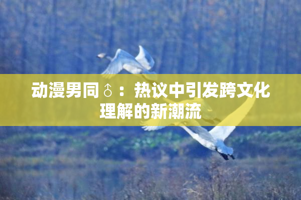动漫男同♂：热议中引发跨文化理解的新潮流