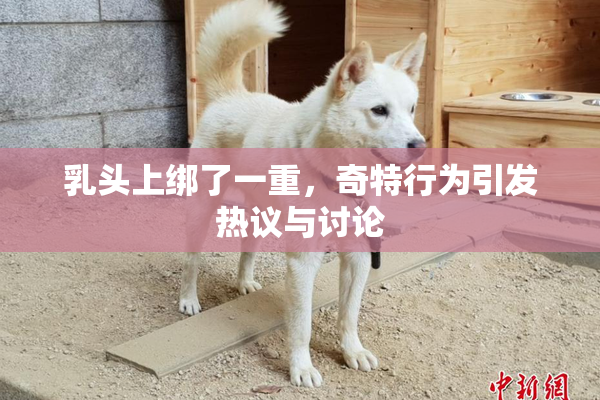 乳头上绑了一重，奇特行为引发热议与讨论