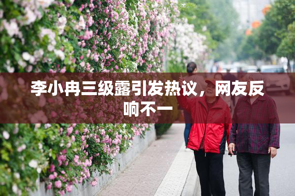 李小冉三级露引发热议，网友反响不一
