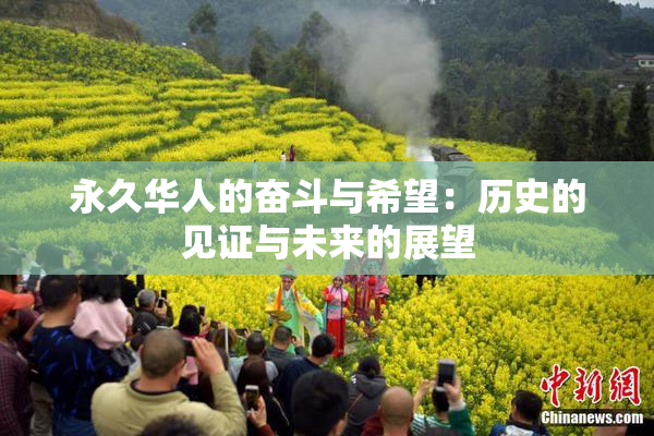 永久华人的奋斗与希望：历史的见证与未来的展望