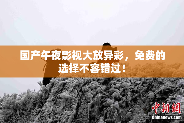 国产午夜影视大放异彩，免费的选择不容错过！