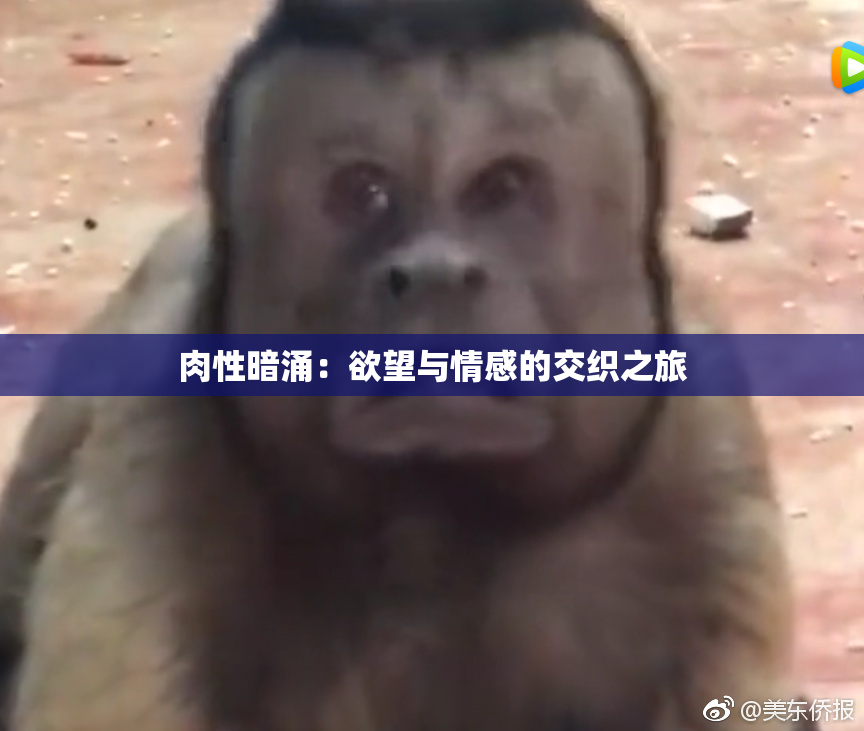 肉性暗涌：欲望与情感的交织之旅