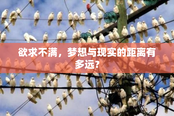 欲求不满，梦想与现实的距离有多远？