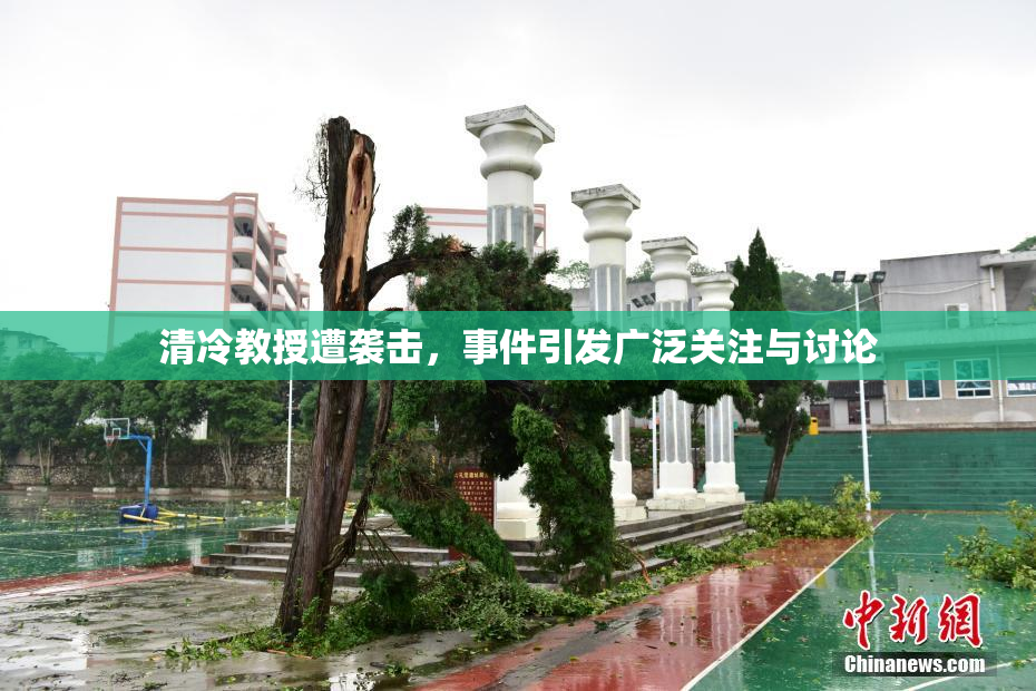 清冷教授遭袭击，事件引发广泛关注与讨论