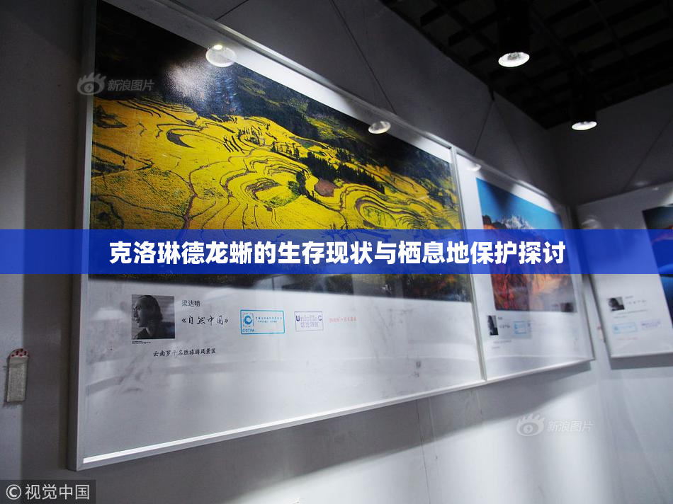 克洛琳德龙蜥的生存现状与栖息地保护探讨