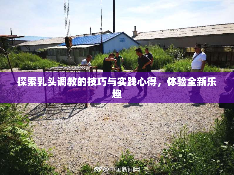 探索乳头调教的技巧与实践心得，体验全新乐趣