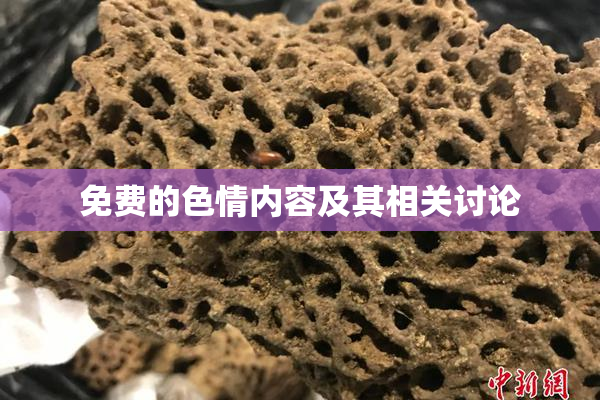 免费的色情内容及其相关讨论