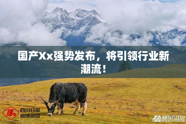 国产Xx强势发布，将引领行业新潮流！