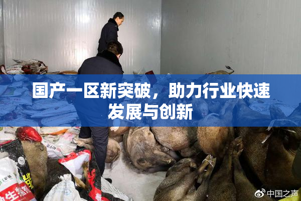 国产一区新突破，助力行业快速发展与创新