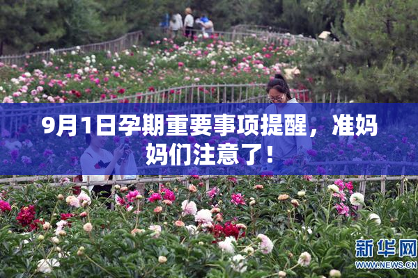 9月1日孕期重要事项提醒，准妈妈们注意了！