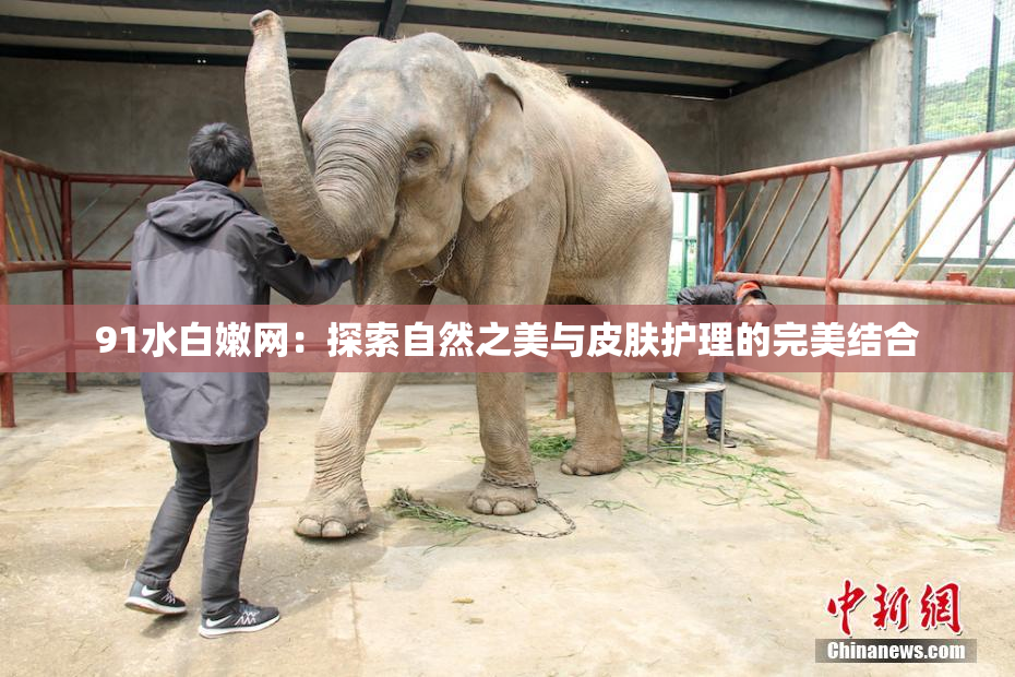 91水白嫩网：探索自然之美与皮肤护理的完美结合