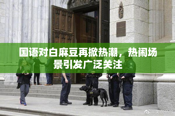 国语对白麻豆再掀热潮，热闹场景引发广泛关注