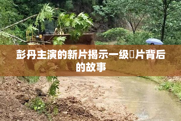 彭丹主演的新片揭示一级婬片背后的故事