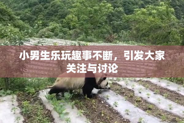 小男生乐玩趣事不断，引发大家关注与讨论