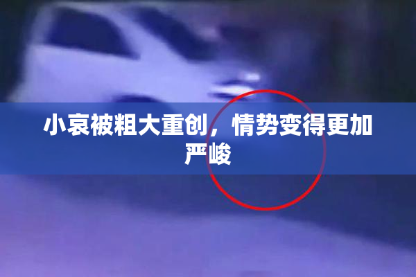 小哀被粗大重创，情势变得更加严峻