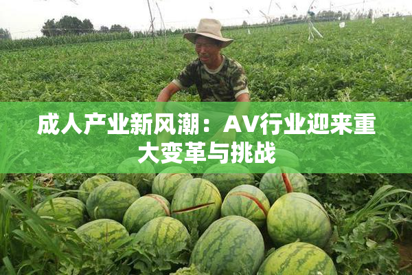 成人产业新风潮：AV行业迎来重大变革与挑战