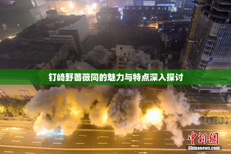 钉崎野蔷薇同的魅力与特点深入探讨