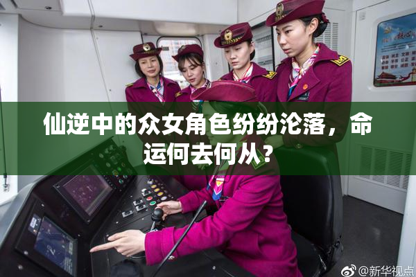 仙逆中的众女角色纷纷沦落，命运何去何从？