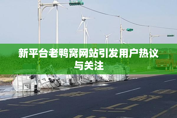 新平台老鸭窝网站引发用户热议与关注