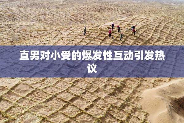 直男对小受的爆发性互动引发热议