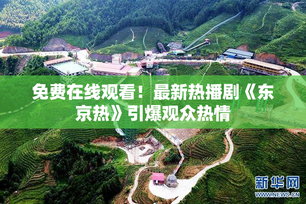 免费在线观看！最新热播剧《东京热》引爆观众热情