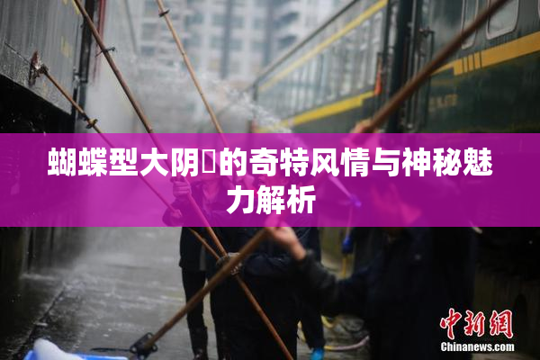 蝴蝶型大阴脣的奇特风情与神秘魅力解析