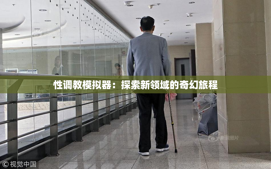 性调教模拟器：探索新领域的奇幻旅程