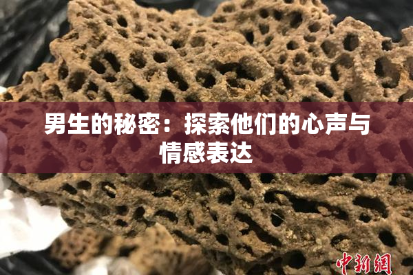 男生的秘密：探索他们的心声与情感表达