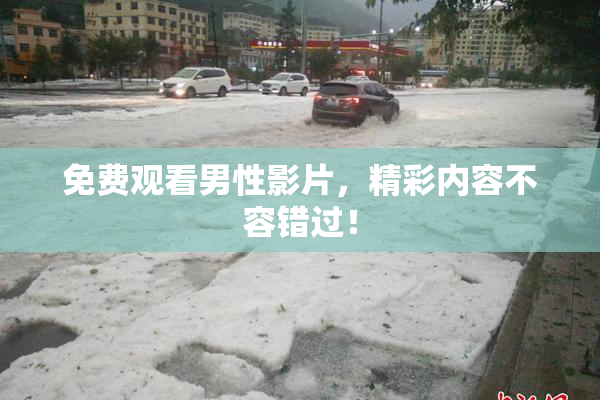 免费观看男性影片，精彩内容不容错过！