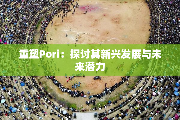重塑Pori：探讨其新兴发展与未来潜力