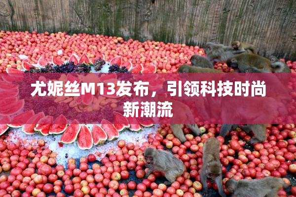 尤妮丝M13发布，引领科技时尚新潮流
