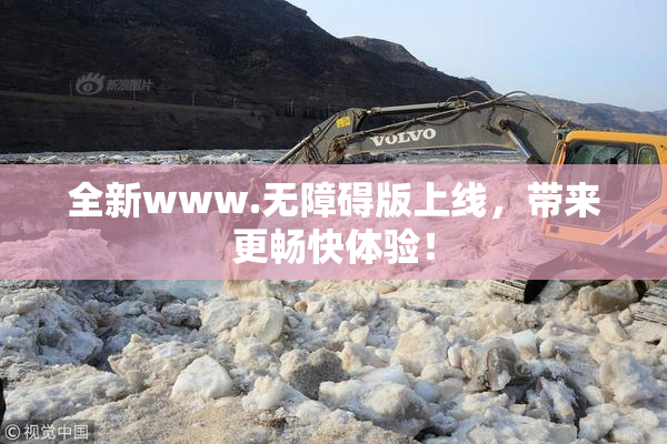 全新www.无障碍版上线，带来更畅快体验！