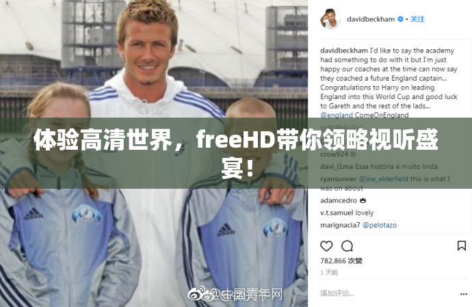 体验高清世界，freeHD带你领略视听盛宴！