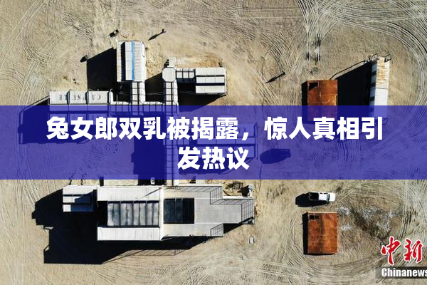 兔女郎双乳被揭露，惊人真相引发热议