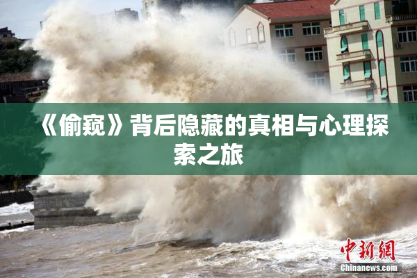 《偷窥》背后隐藏的真相与心理探索之旅