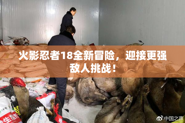 火影忍者18全新冒险，迎接更强敌人挑战！